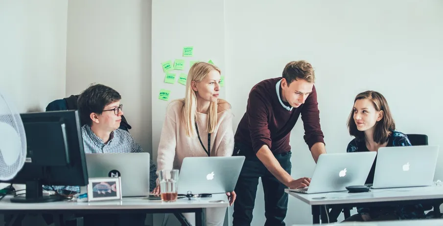 bespoke software development team
